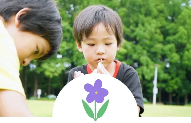 4歳児：すみれ組